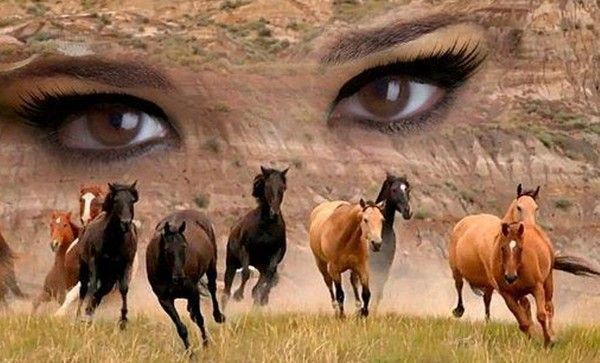 Regard...sur...