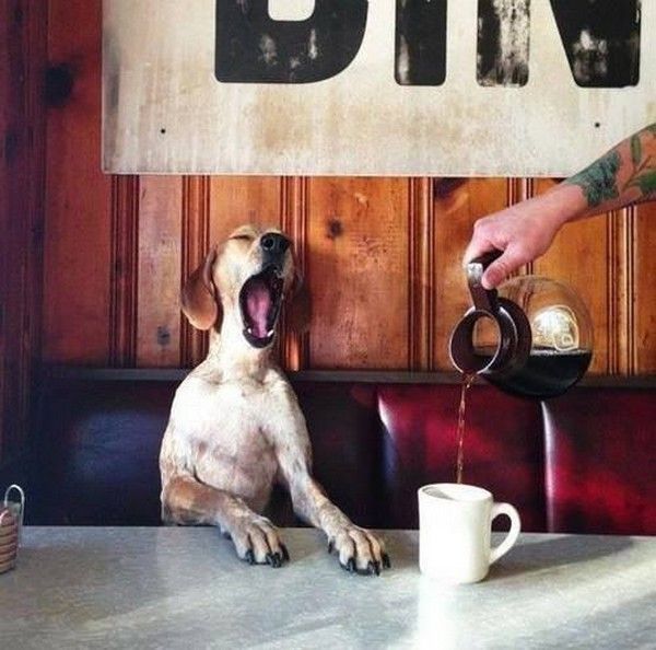 Pause café...
