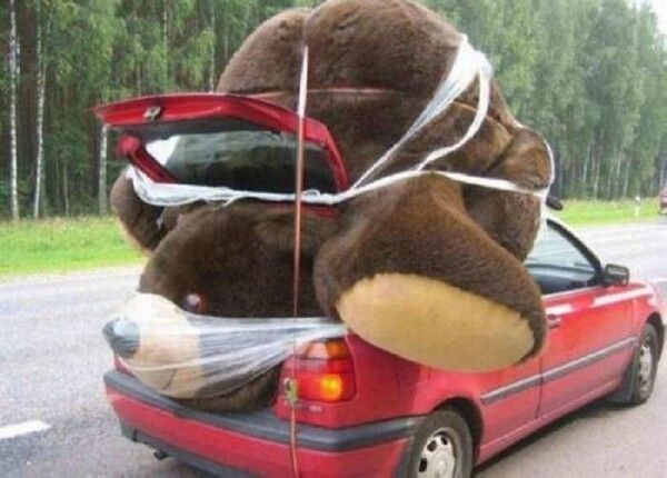 Un gros nounours....