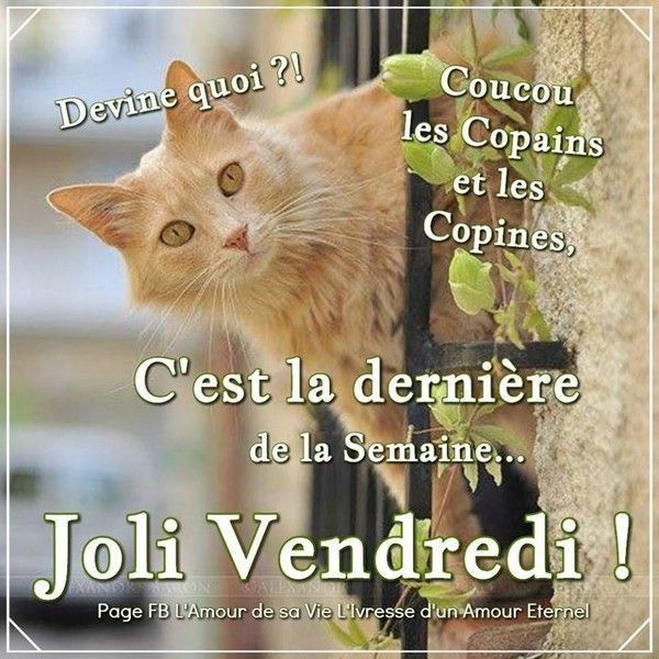 dernière....hi.hi..