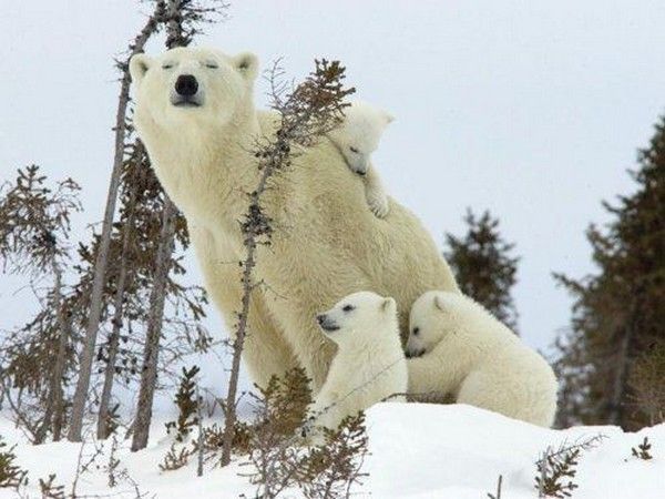 Maman et ces bébés...