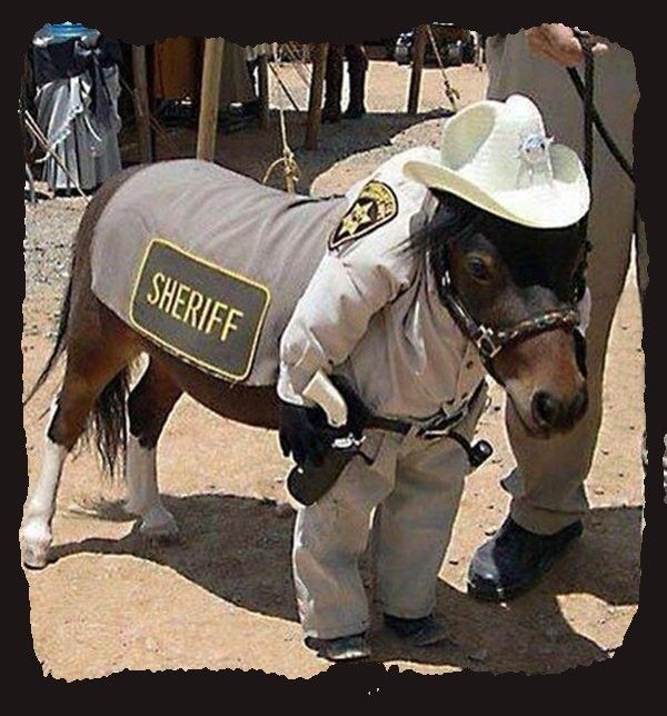 Oupstt...hi..hi..le shérif......