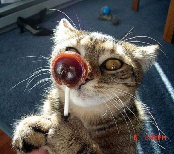 Ho! ..par dis j'adore ...