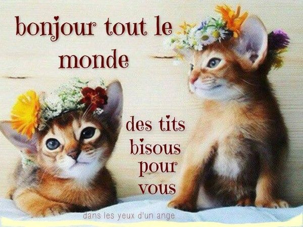 bonjour