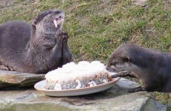 Dieu...!...merci....