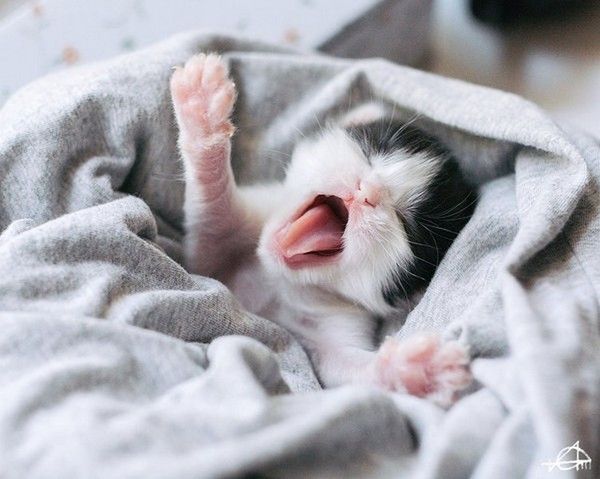 quoi...j'ai bien compris..hi.hi...