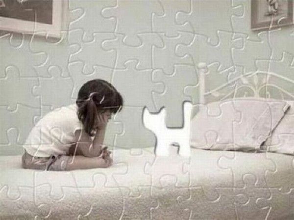 un pièce de puzzle...