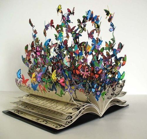 Un livre de papillon...
