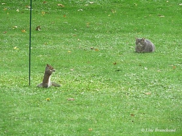 Parcours de golf...hi.hi..