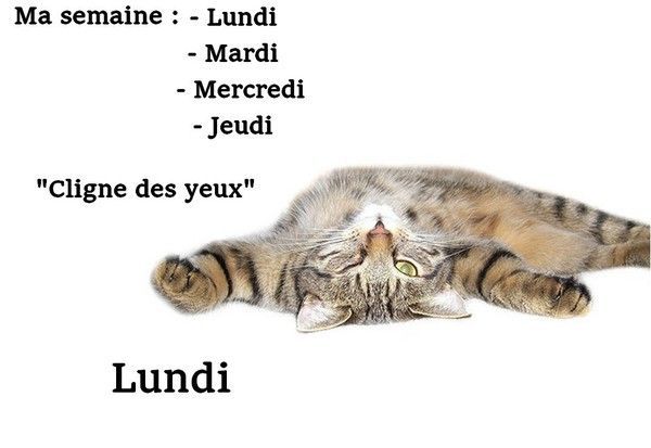 ma semaine 