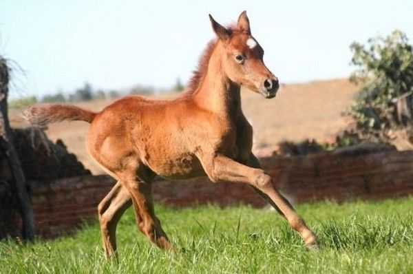 Bébé..printemps...