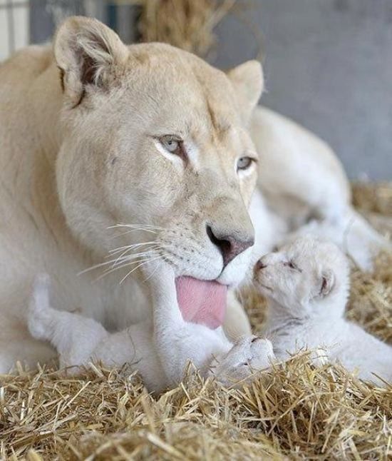 adorable bébé...