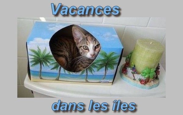 On rêve de vacances..hi.hi..