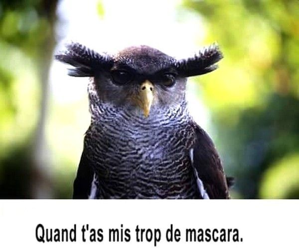 un peut humour