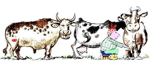 humour vache..hi.hi...