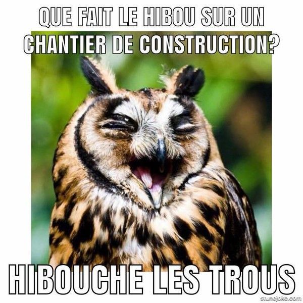 la saga
