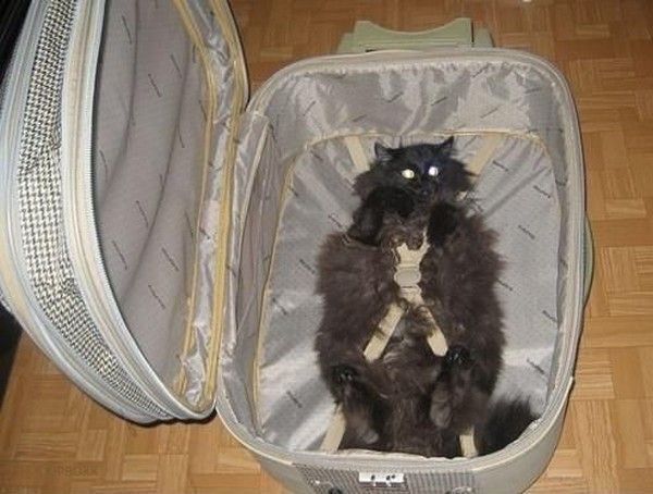 Je part avec toi..hi.hi..