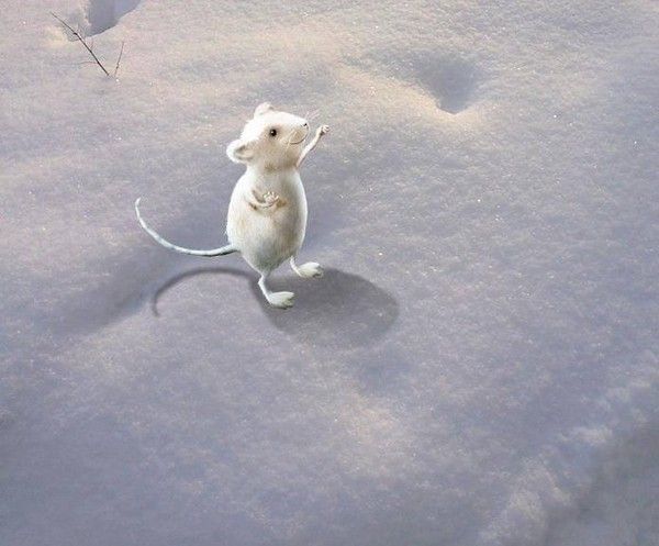 si tu viens pas..hi.hi..