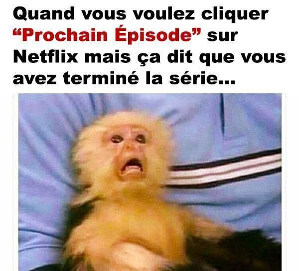 tout a fait