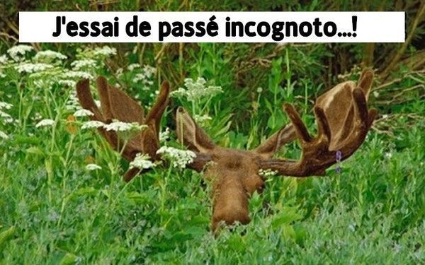 Commence avoir du monde...