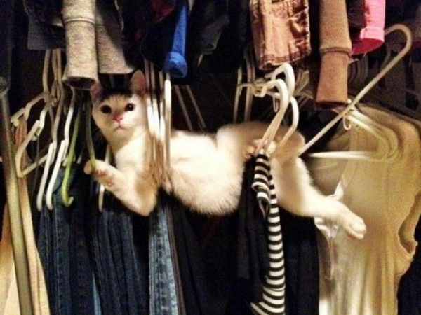 ........Surprise........!......