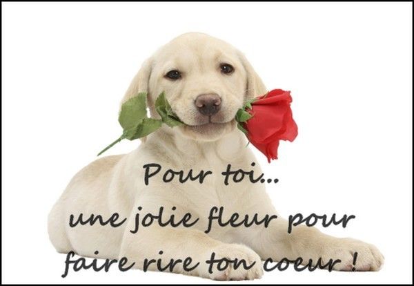 Que ton coeur...