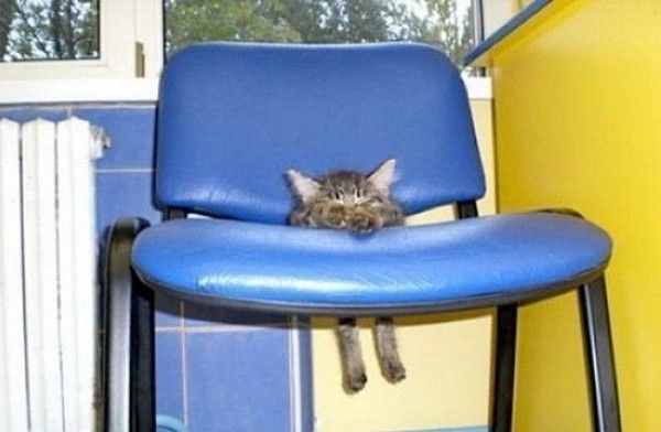 dormir ou 