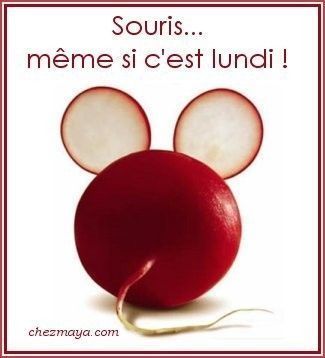 Bonne journée