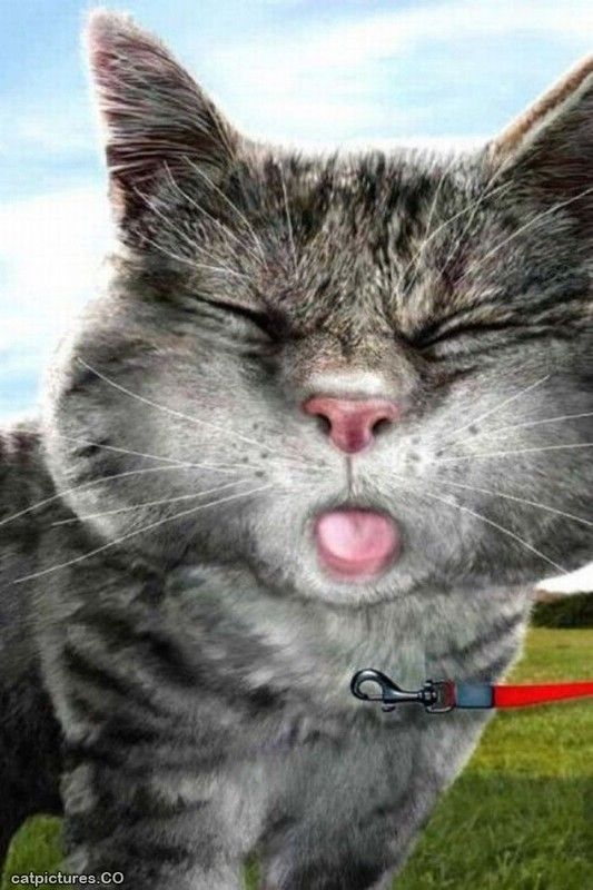 TIENT TOÉ.....PFFFFFFFF......!!!!!!