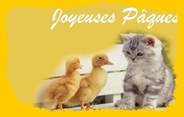 Toujours de belle pâques