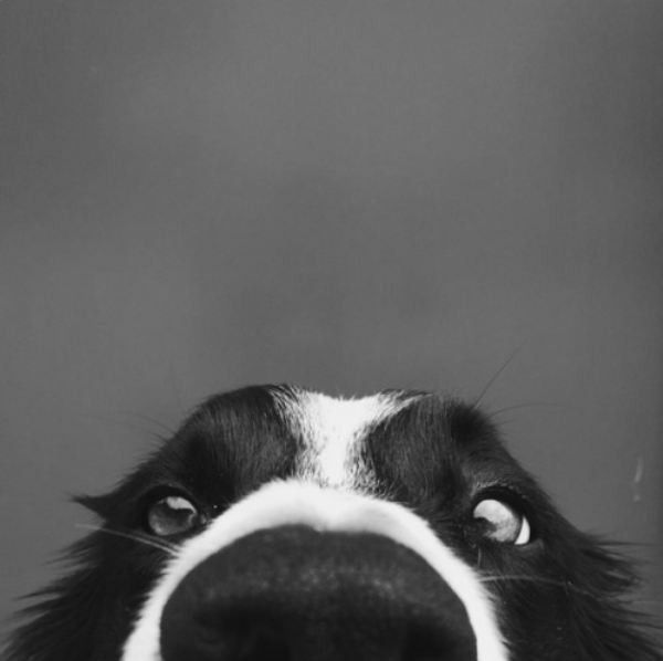 yo...yo....vous êtes...hi.hi..