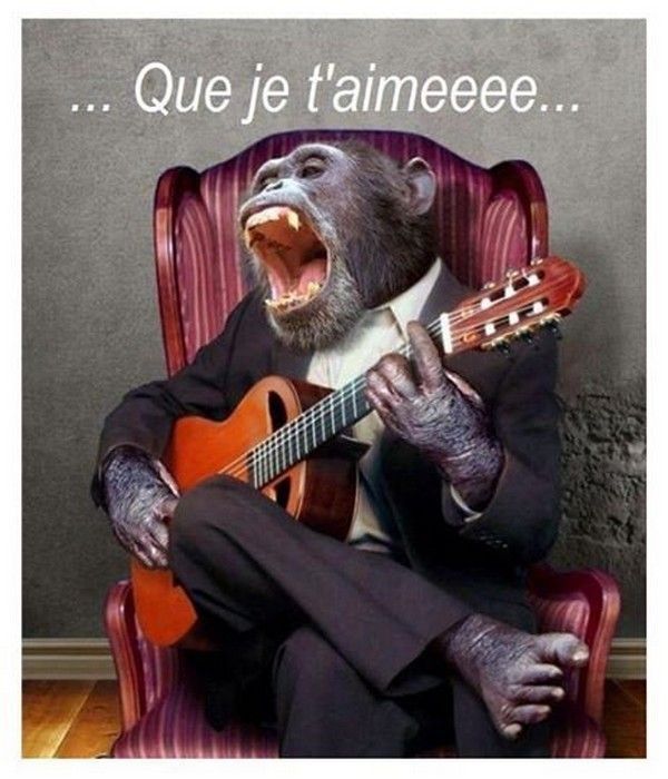 J't'aime....