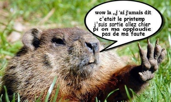 wow......minute..l'ami