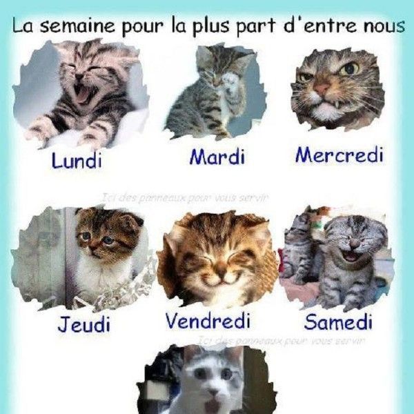 Des visages de semaine...hi..hi..