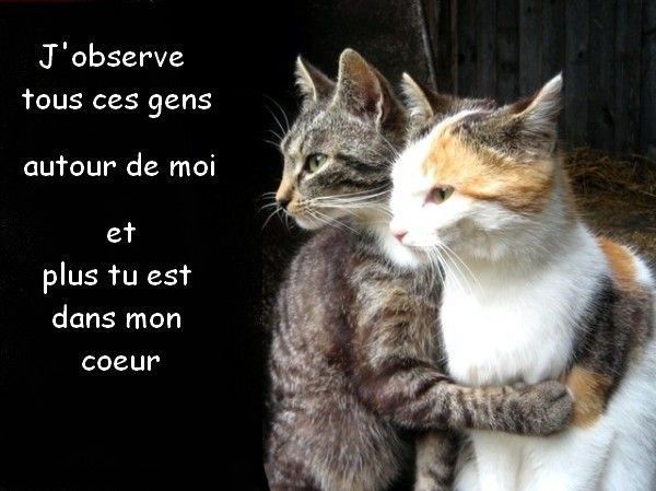 amour de notre vie...