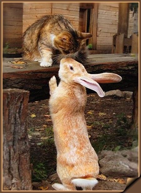 Bon...bisou...