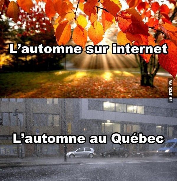 hi.hi..et  le final..hi.hi..