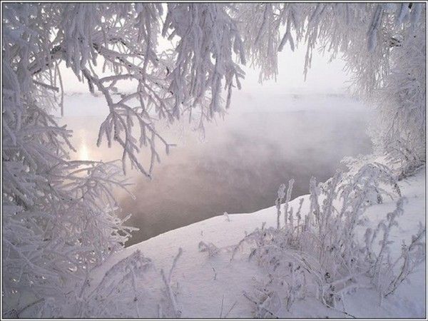 Paysage hiver