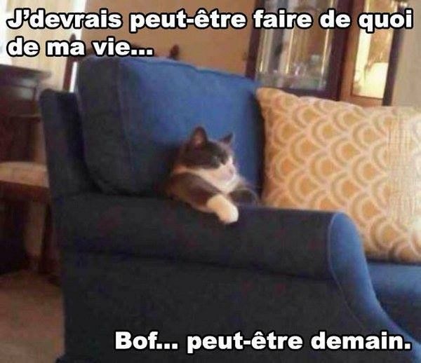 bof demain