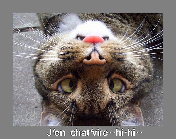 Vous me comprenez....hi..hi..