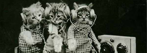 Musique