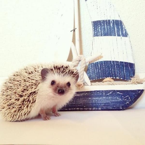on rêve de voyage...