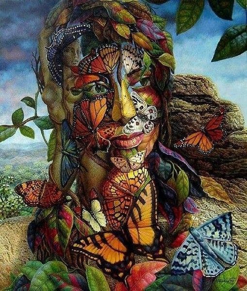 le visage du papillon