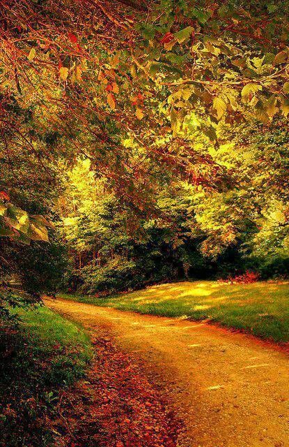 sentier automne