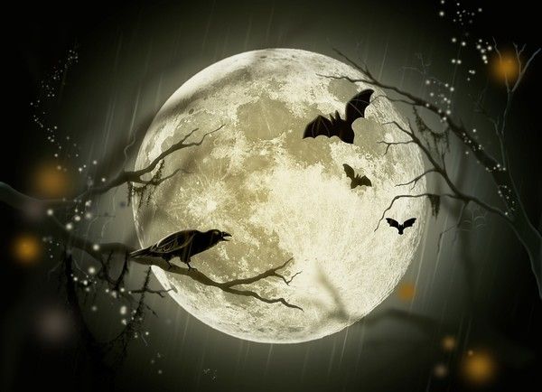 la lune du