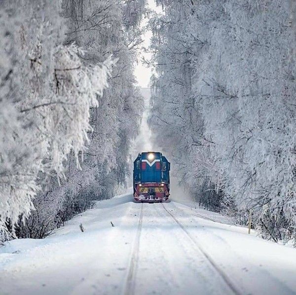 train.....d'hiver