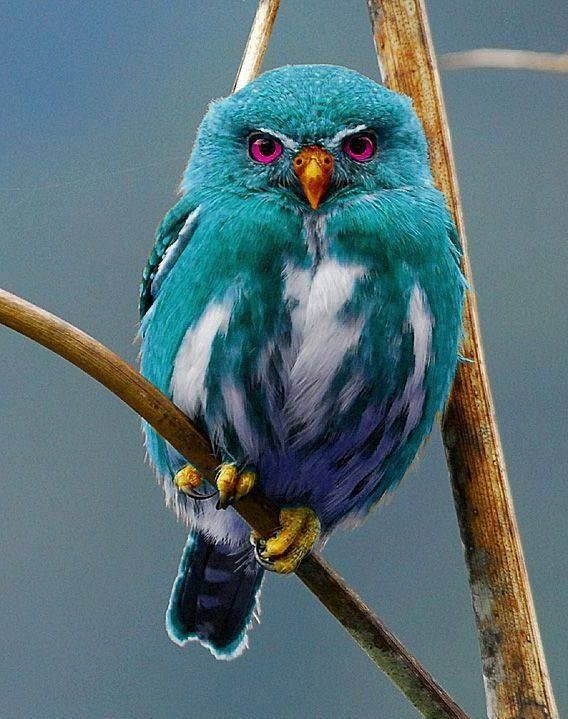 un regard