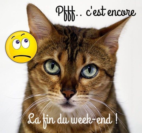 fin du week end