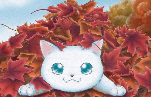 si....les feuilles....