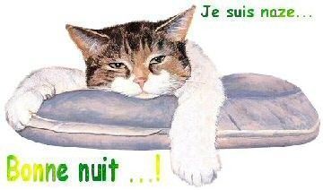 bon  dodo